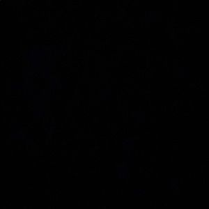 Meet your Posher, Jose